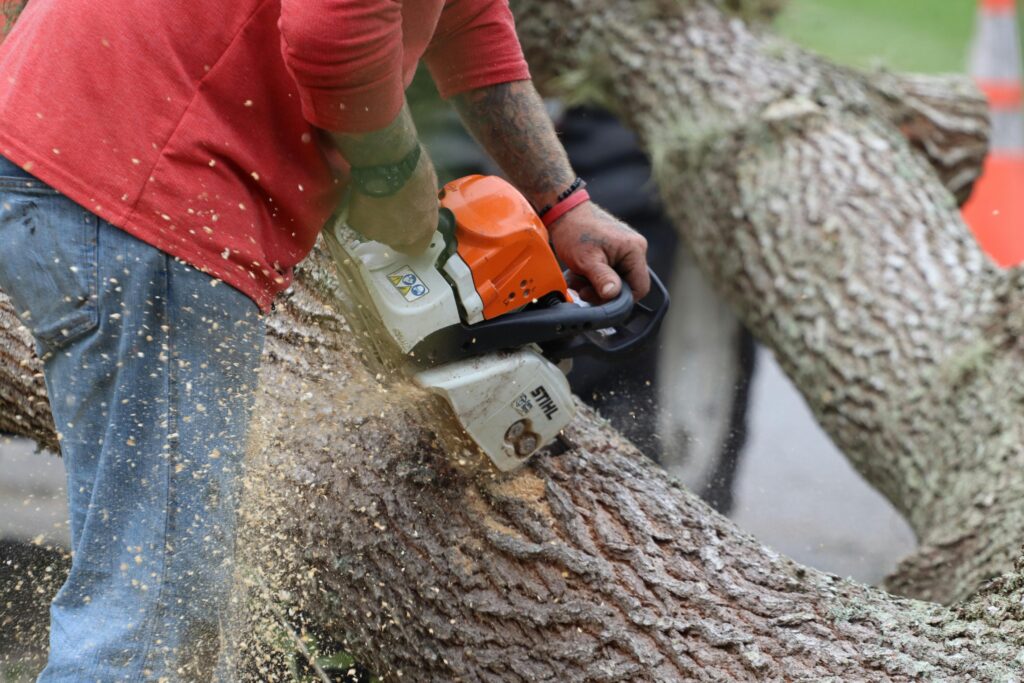 Tree Service Guide